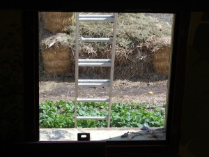New lower window