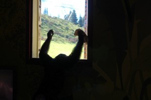 Jamie wiping window with sock