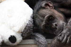 jody with stuffed dog