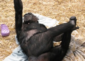 jody yoga