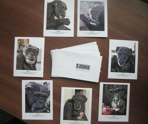 collectible postcards and envelopes