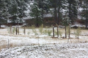 posts for climbing structures