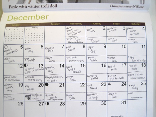 enrichment calendar