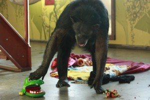 Jody and alligator head 2