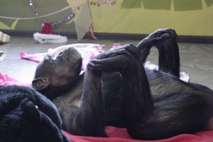 jody holding feet