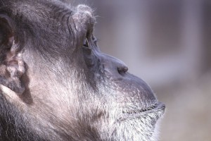 Jody in profile