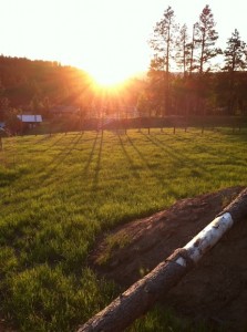 sunset on youngs hill