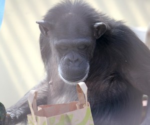 Annie looking in bag