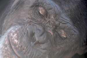 close up of Jamie with eyes closed