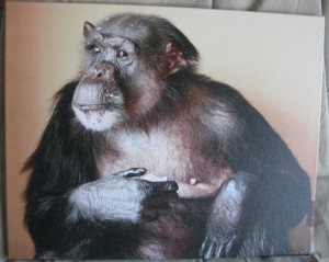 Negra is Beautiful on canvas