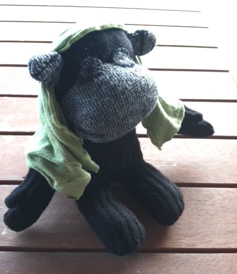 Negra sock chimpanzee
