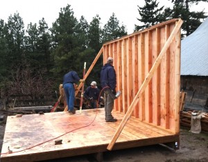 shed first wall