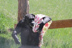 annie carrying blanket
