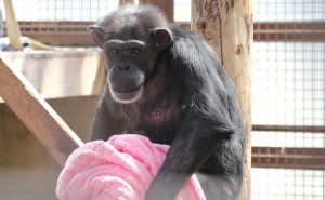 Annie holding blanket