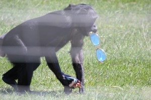 jody with enrichment