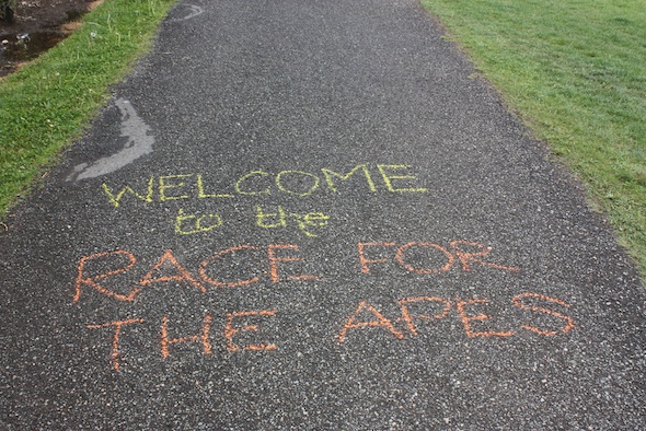 chalk welcome