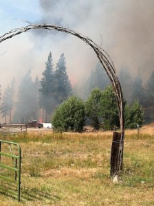 fire on Tom's property
