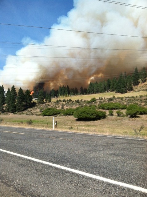 fire on hil above chimp house from highway