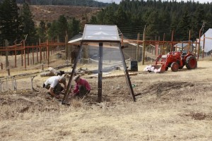 jb seana construct negra's cabin