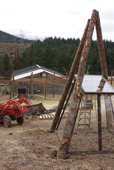 Negra's cabin under construction, greenhouse in background