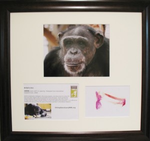 Jamie print framed