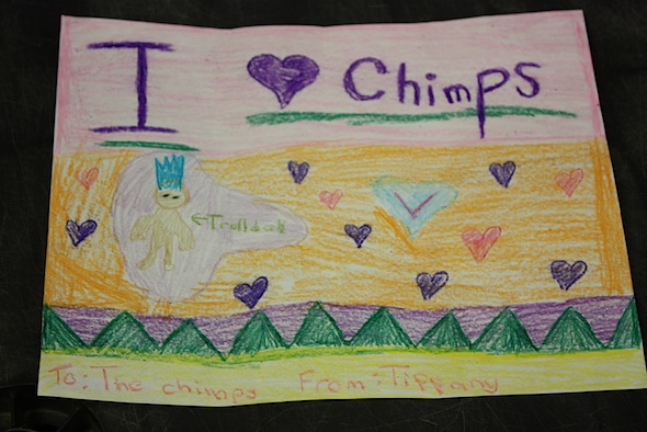 letter to the chimps