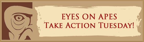 Take Action Tuesday banner