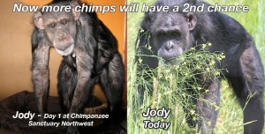 Jody before and today