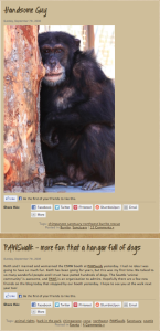 five years ago blog post image