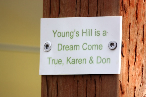 web_young's_hill_plaque_second_anniversary_dm_IMG_4728
