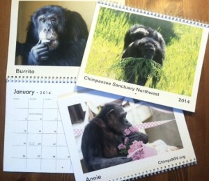 2014 calendars