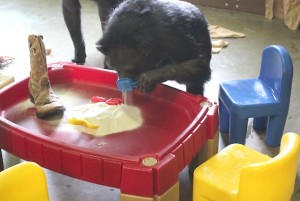 Jody sifting sand