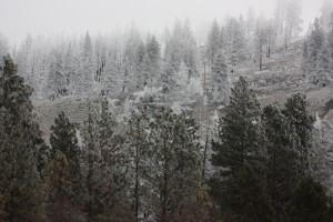 hoarfrost above young's hill