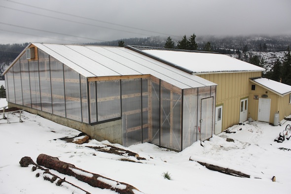 greenhouse in snow