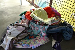 Missy constructed nest