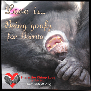 Love is for Burriot