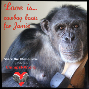 Love is for Jamie