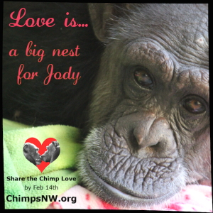 Love is for Jody