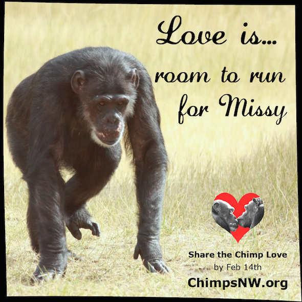 Love is for Missy