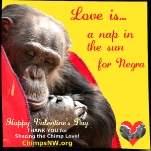 Love is for Negra