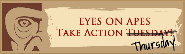 take-action-thursday