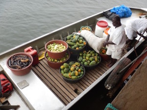 Fruit on its way to the chimpanzees