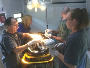 Burrito tooth extraction