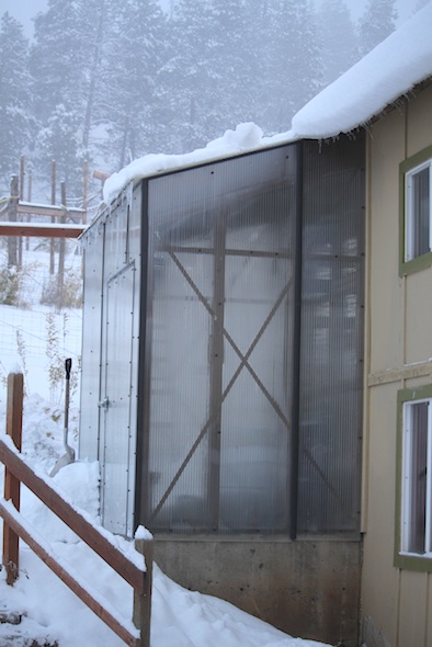 web_snow_property_winter_outside_greenhouse_IMG_7209