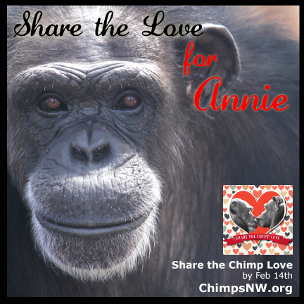 Share the Love for Annie
