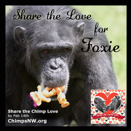 Share the love for Foxie