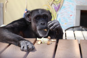Jody eating