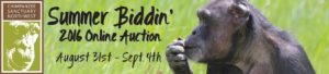 biddin