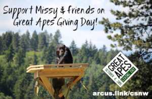 support Missy