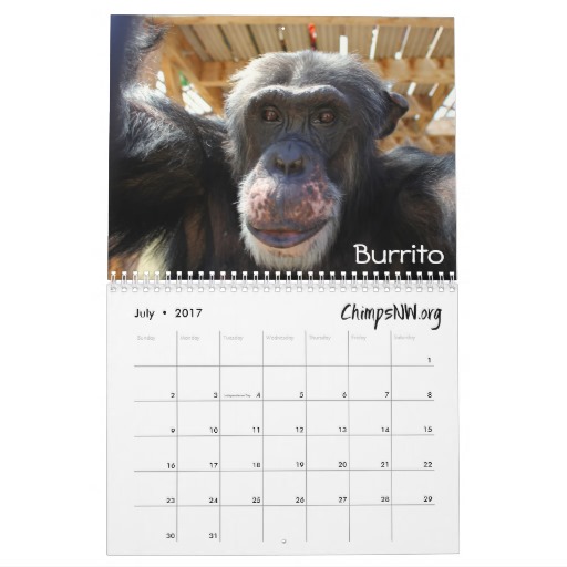 burrito-from-calendar